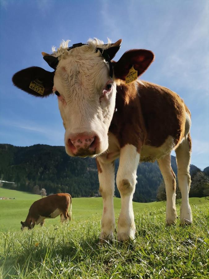 Ferienhaus Weber-Haeusl Reith im Alpbachtal Dış mekan fotoğraf